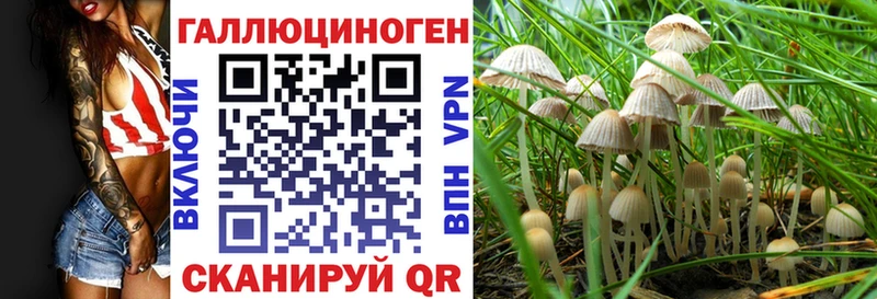 Псилоцибиновые грибы GOLDEN TEACHER  Купить где  Пермь 